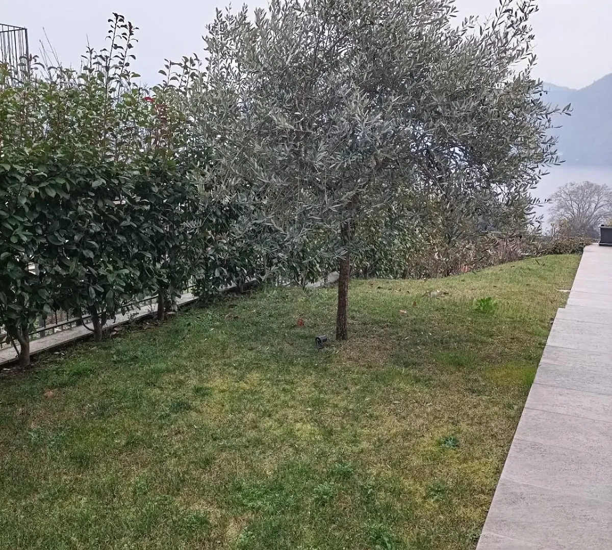 Villa Incanto Mezzegra Ιταλία